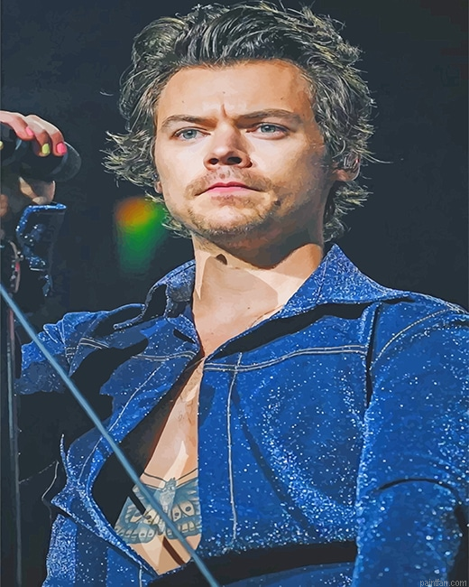 Harry Styles Singer New Paint By Numbers.png