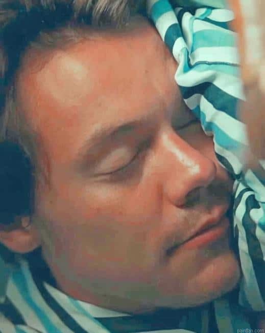 Harry Styles Sleeping New Paint By Numbers.png