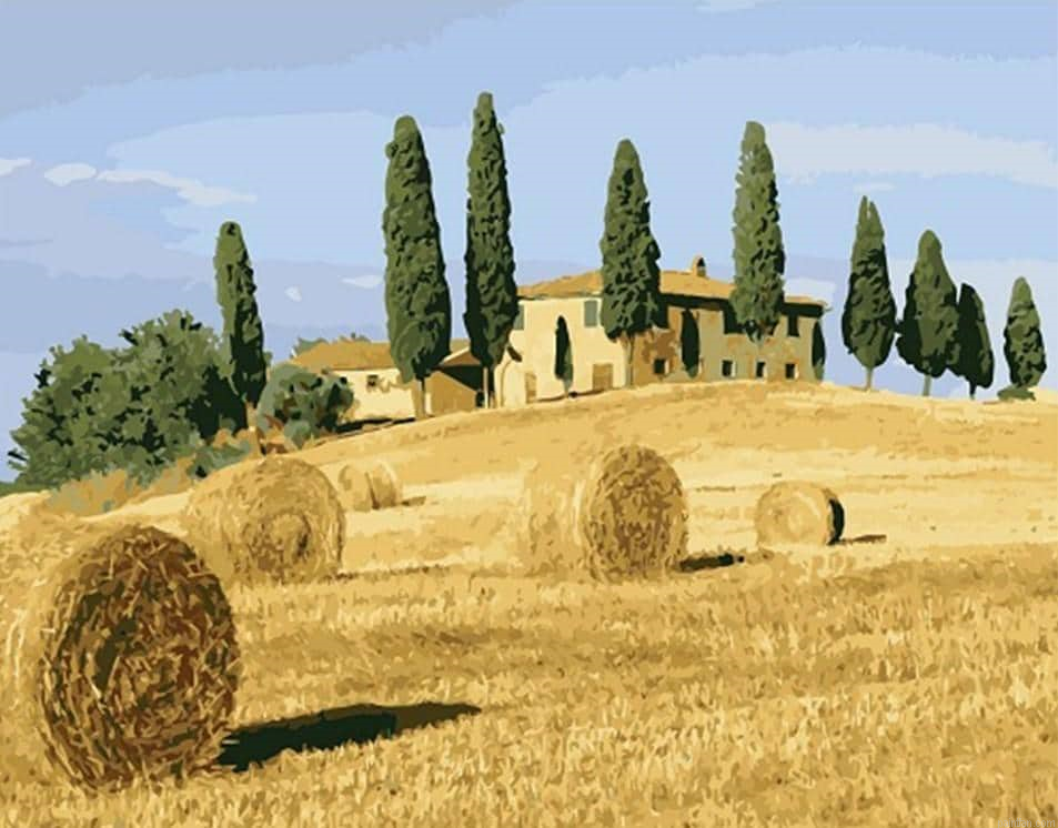 Harvest Farm Paint By Numbers.png