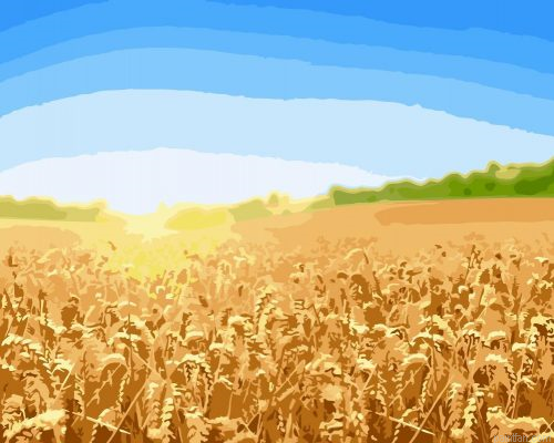 Harvest Field Paint By Numbers.png