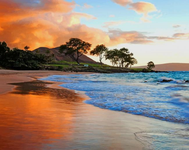 Hawaii Beach New Paint By Number.png