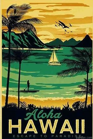 Hawaii Paradise Paint By Numbers.png