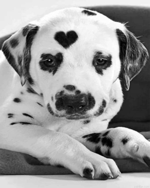 Heart Shaped Dalmatian Paint By Number.png