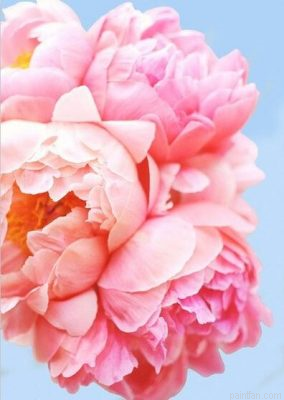 Heavenly Roses Paint By Numbers.png
