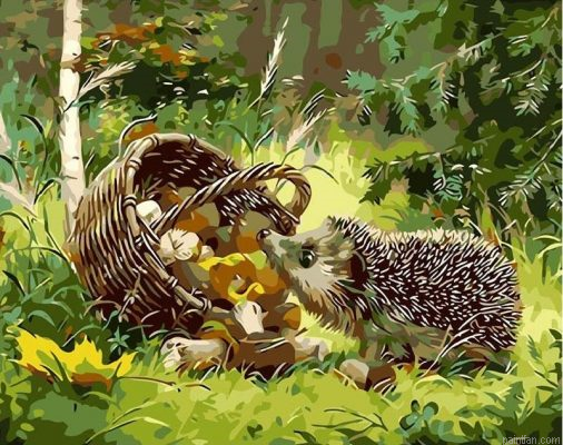 Hedgehog Animals Paint By Numbers.png