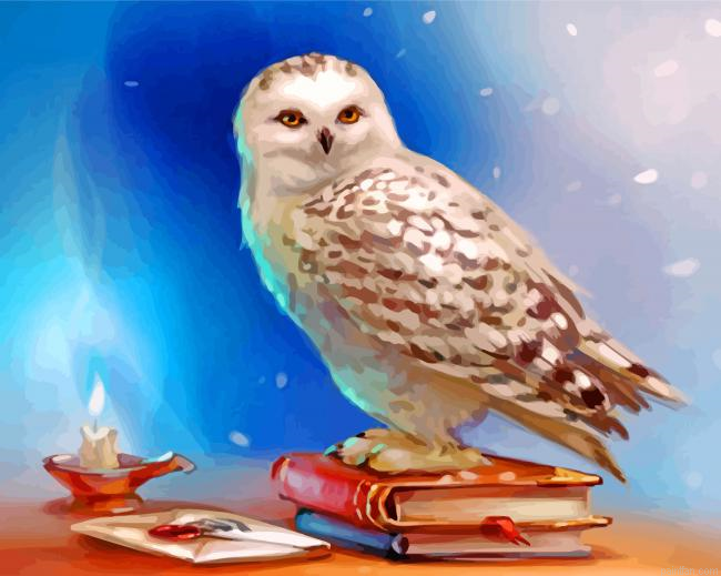 Hedwig Owl Paint By Numbers.png