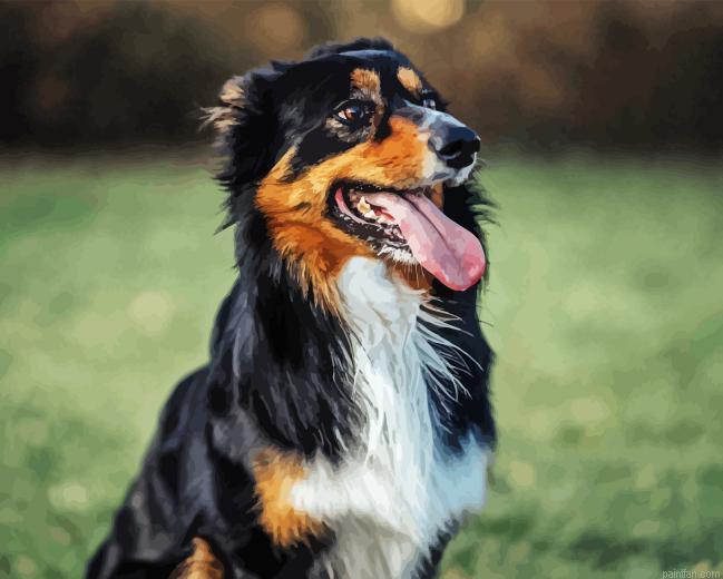 Herding Dog Paint By Numbers.png