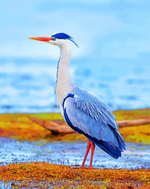 Heron Bird Paint By Number.png