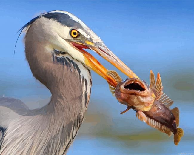 Heron Eating A Fish Paint By Number.png