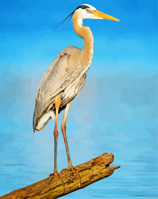 Heron Paint By Number.png