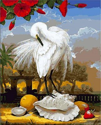 Heron On Seashell Paint By Numbers.png