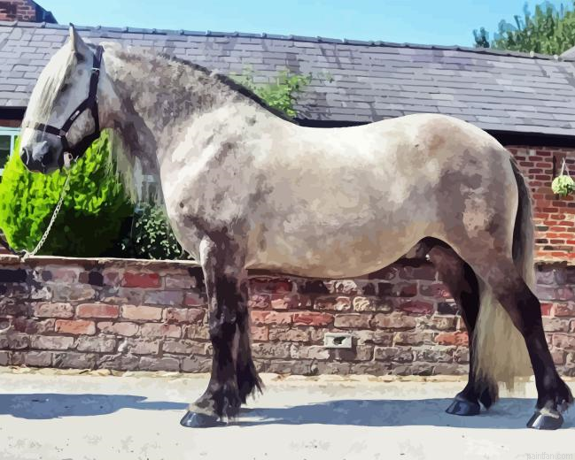 Highland Pony Horse Paint By Numbers.png