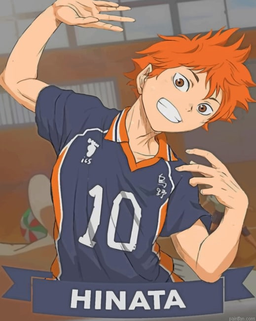 Hinata Haikyuu New Paint By Numbers.png