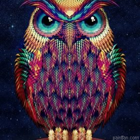 Hipster Owl Paint By Numbers.png
