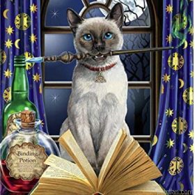 Hocus Pocus Cat Paint By Numbers.png