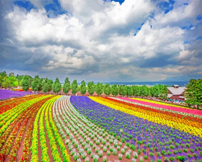 Hokkaido Farm Tomita Paint By Number.png