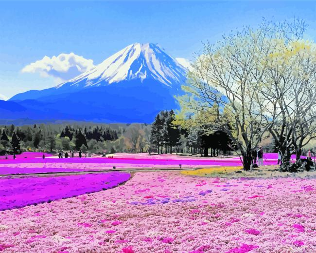 Hokkaido Paint By Number.png