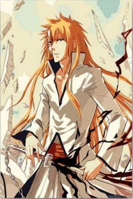 Hollow Ichigo Paint By Numbers.png