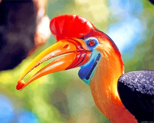 Hornbill Bird Animal Paint By Number.png