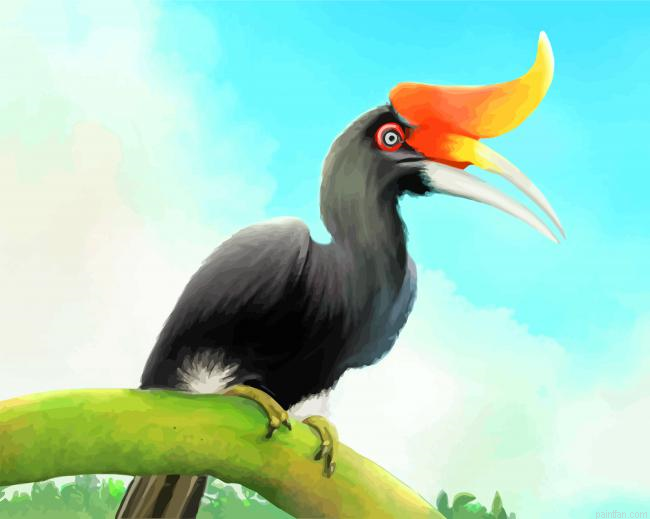 Hornbill Bird Paint By Number.png