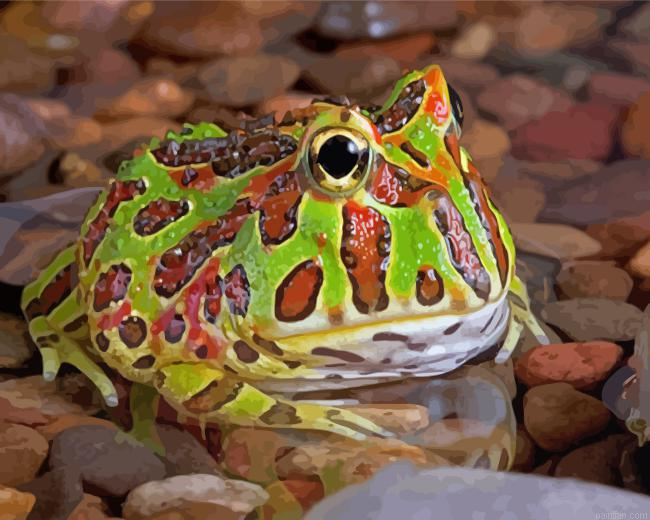 Horned Frog Paint By Numbers.png