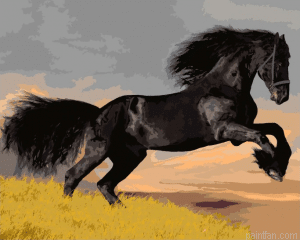 Horse Animal Paint By Numbers.png