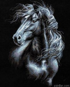 Horse Animals Paint By Numbers.png
