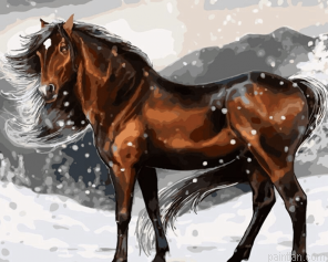 Horse Art Paint By Numbers.png