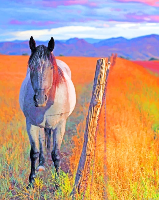 Horse In Field New Paint By Numbers.png