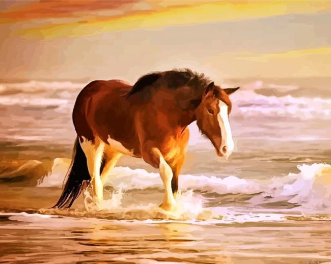 Horse In Sea Paint By Number.png
