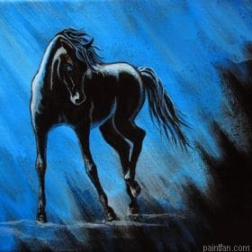 Horse Midnight Paint By Numbers.png