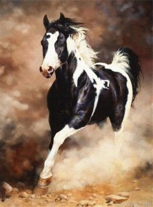 Horse Paint By Numbers.png