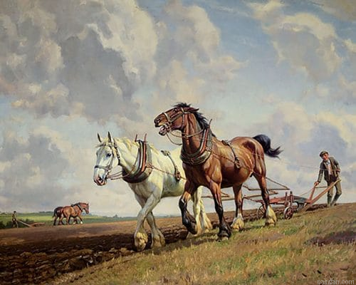 Horse Ploughing Paint By Numbers.png