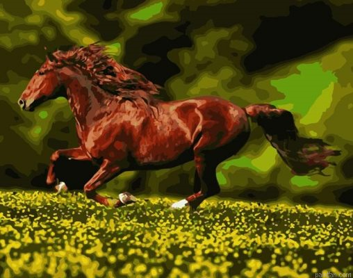 Horse Running Paint By Numbers.png