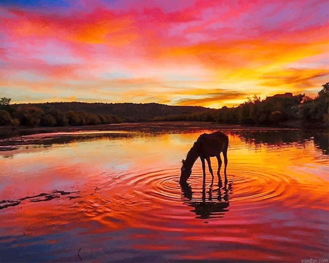 Horse Sunset New Paint By Numbers.png