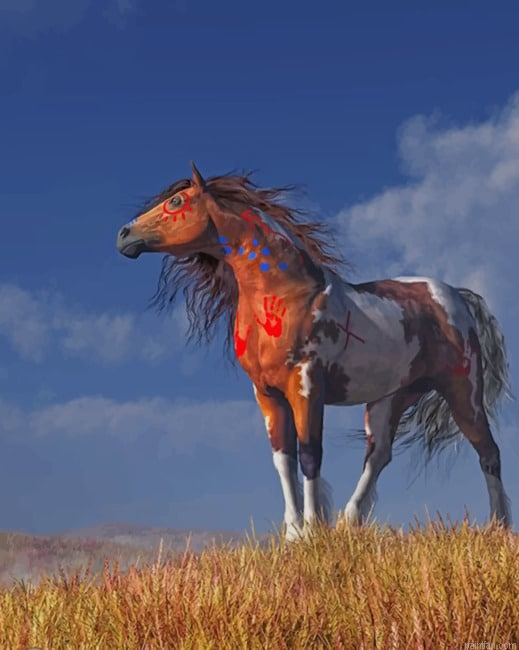 Horse With War Paints Paint By Numbers.png