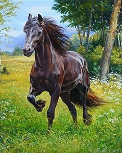 Horse In Forest Paint By Numbers.png