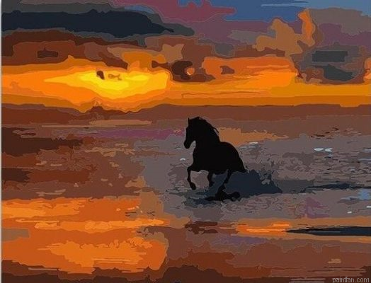 Horse On Sea Paint By Numbers.png