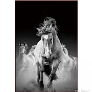 Horses Animals Paint By Numbers.png