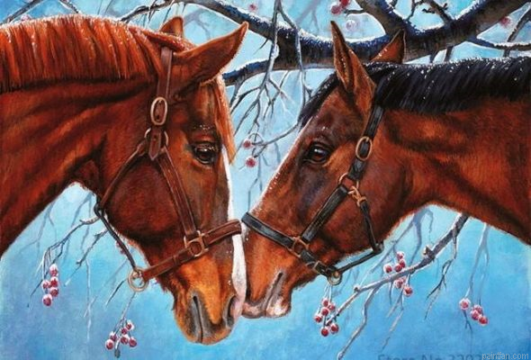 Horses Couple Paint By Numbers.png