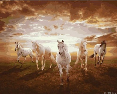 Horses Galloping Paint By Numbers.png