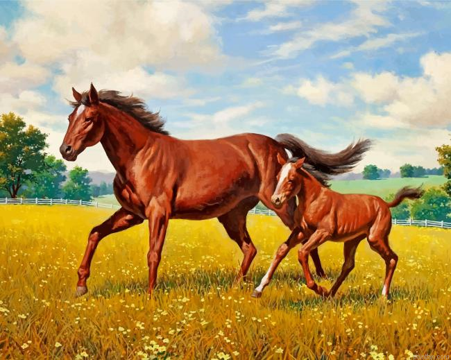 Horses In Meadow Paint By Number.png
