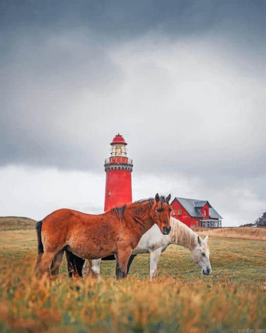 Horses Near To Bovbjerg Lighthouse Paint By Number.png