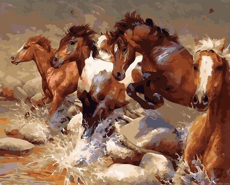 Horses Paint By Numbers.png