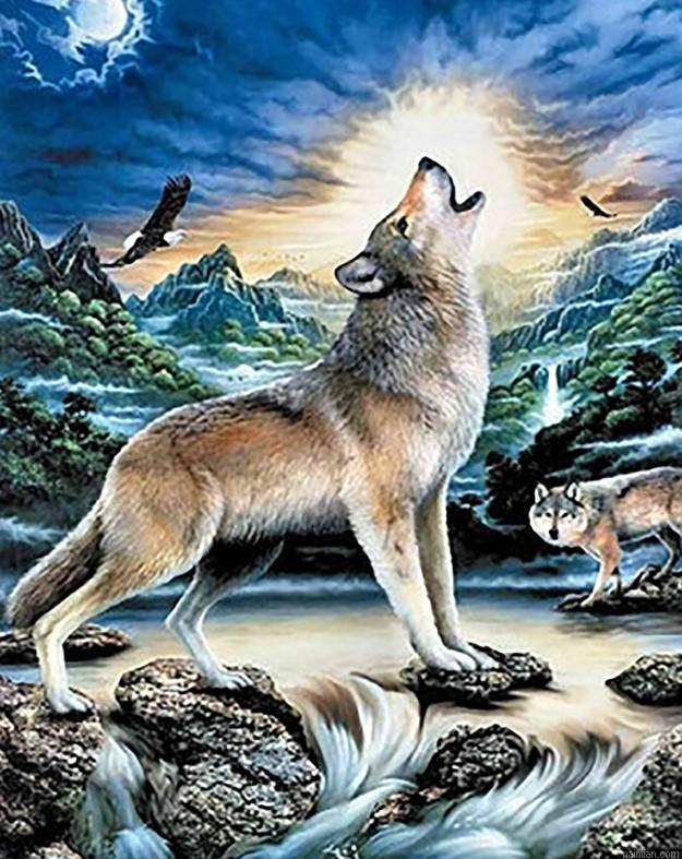 Howling Wolf Paint By Numbers.png