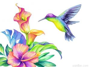 Hummingbird Paint By Numbers.png