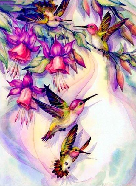 Hummingbirds Birds Paint By Numbers.png