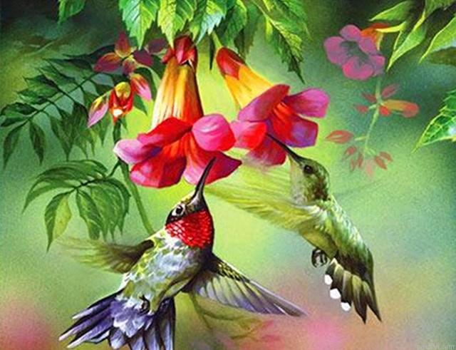 Hummingbirds Paint By Numbers.png