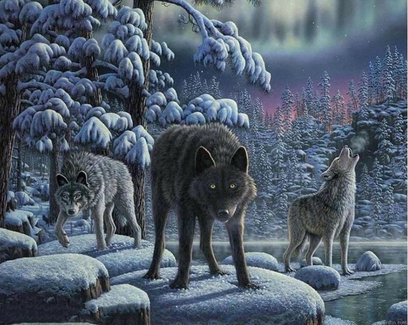 Hunting Wolves Paint By Numbers.png