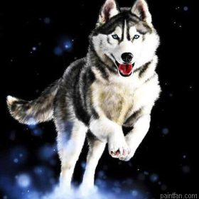 Husky Animals Paint By Numbers.png